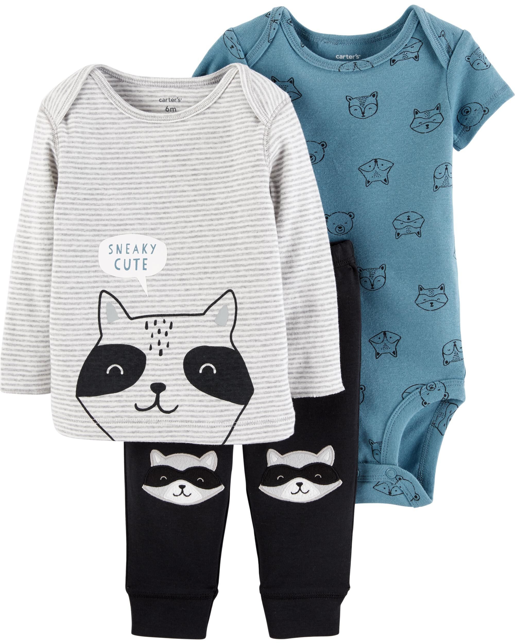 carter's raccoon outfit