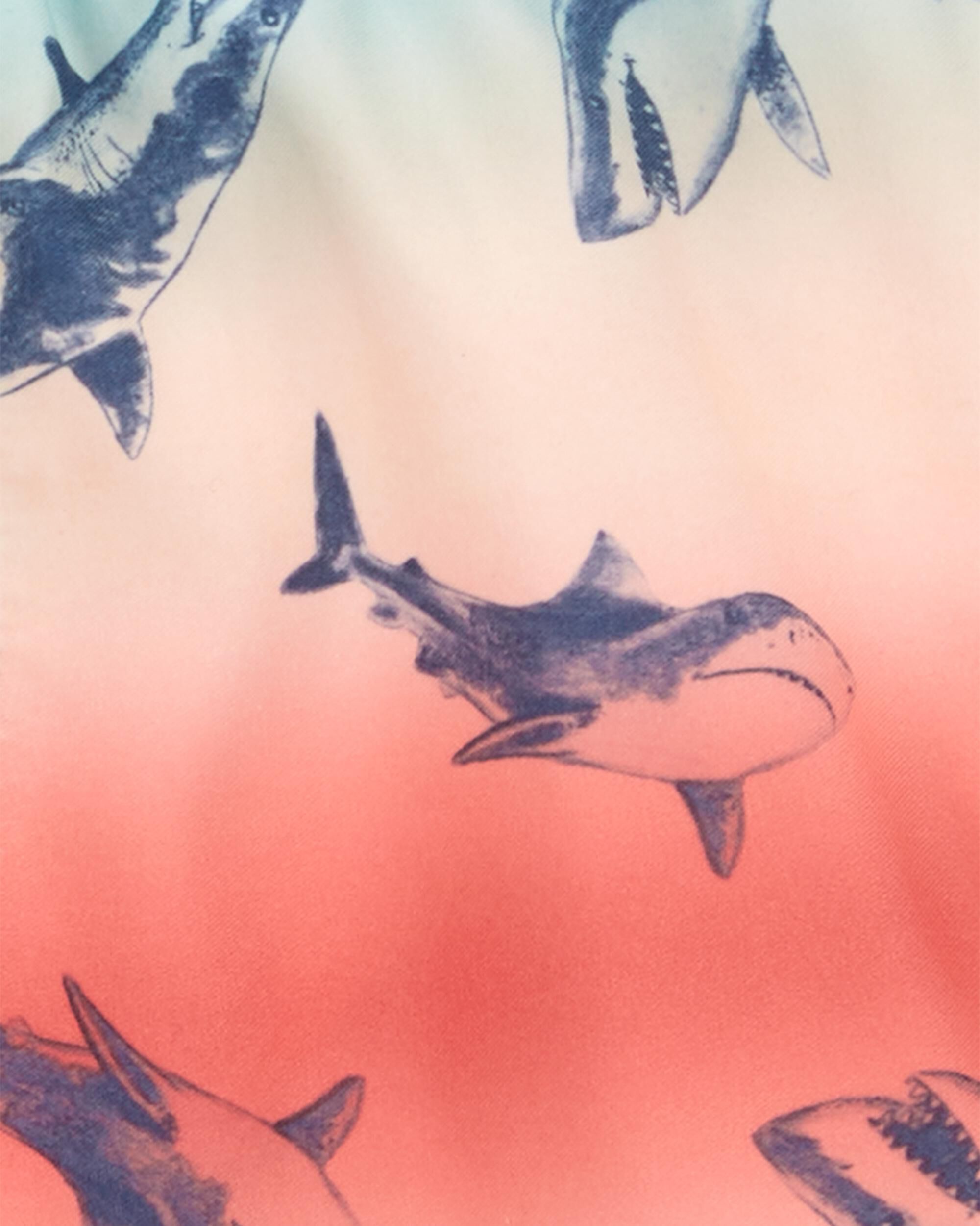 Toddler Ombre Shark Print Swim Trunks