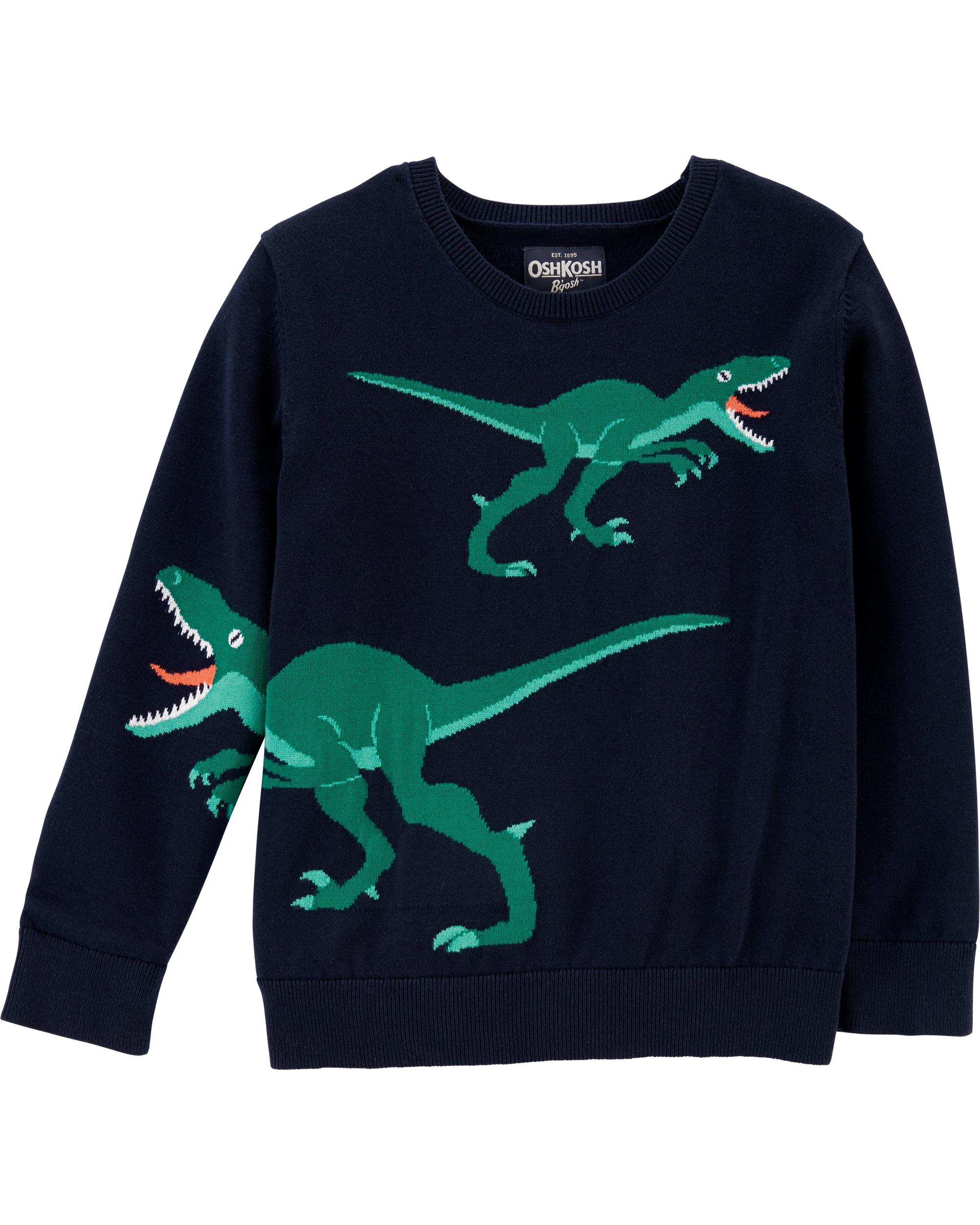 dinosaur sweater